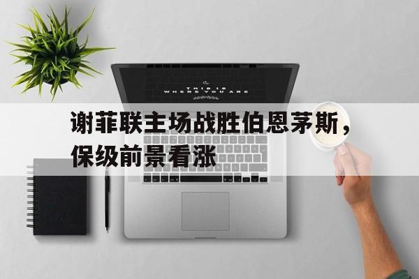 谢菲联主场战胜伯恩茅斯，保级前景看涨的简单介绍
