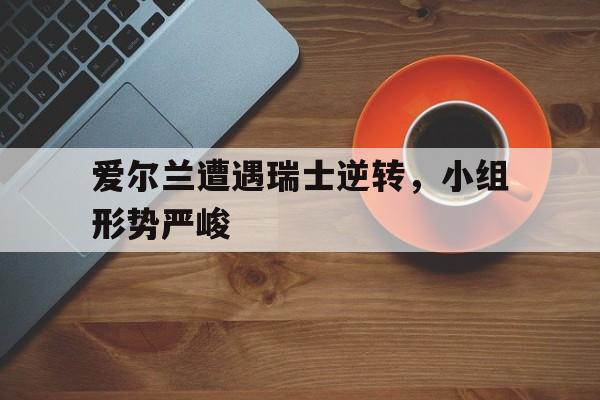 爱尔兰遭遇瑞士逆转，小组形势严峻的简单介绍