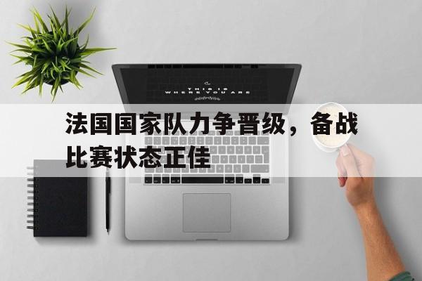 法国国家队力争晋级，备战比赛状态正佳的简单介绍